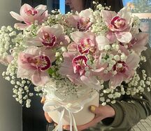 Коробка с орхидей и гипсофилой