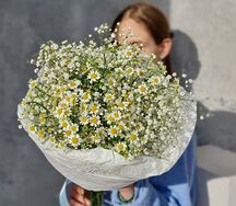 Букет с ромашками и гипсофилой