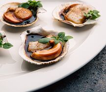 Плато гребешков