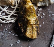 Устрицы Экзотические