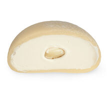 Моти Рафаэлло