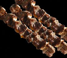 Свин шашлык