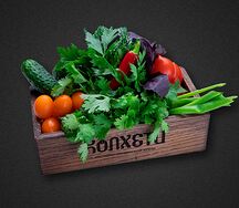 Овощная грядка