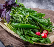 Ассорти зелени