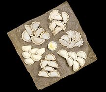 Микс вареничная заморозка