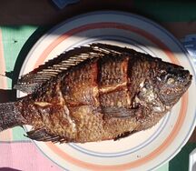 Fried fish