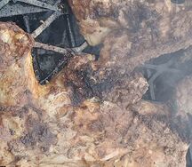 Nshima with roasted chicken