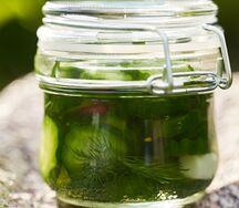 Малосольные огурцы