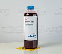 Морс