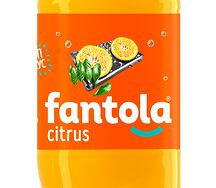 Fantola цитрус
