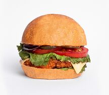Chicken Burger Hot