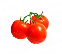 Помидор