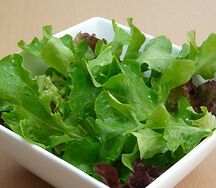 Salade verte