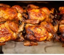 Poulet pondeuse