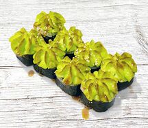 Каджи Унаги