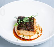 Палтус мисо с трюфельным пюре