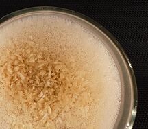 Раф Рафаэлло 