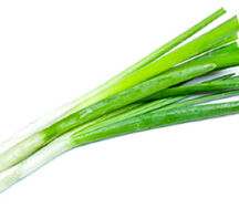 Лук зеленый для утки