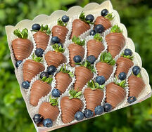 Клубника в шоколаде Blueberry Classic