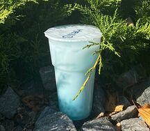 Bubble Tea Тиффани