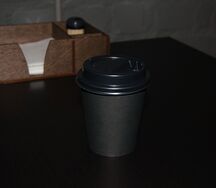 vp1