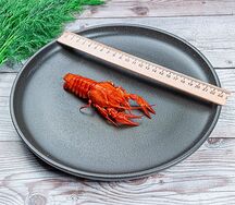 Раки севанские №2