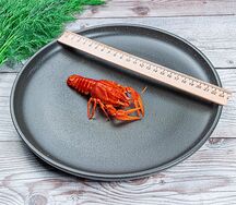 Раки севанские №1