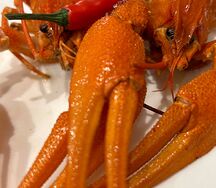 Раки королевские