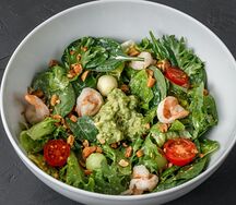 Funny shrimp