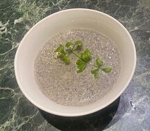 Суп-пюре из шампиньонов