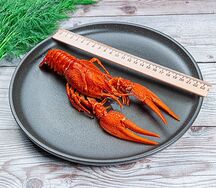 Раки севанские №5