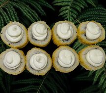 Филадельфия темпура