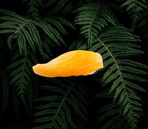 Суши с лососем