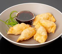 Гедза ручной лепки с курицей