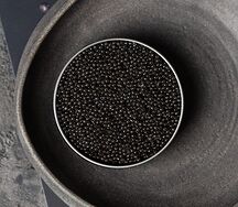 Икра белуги зернистая (премиум)