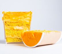vp1