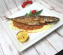 Скумбрия Ссср