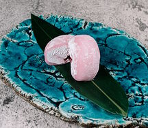 Мочи черника