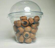 Голубика в шоколаде