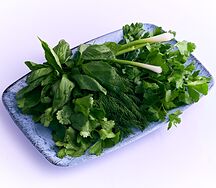 Свежая зелень