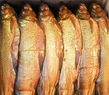 Рыба сиг армянская