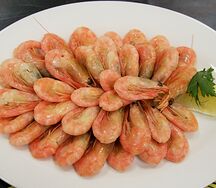 Креветки северные