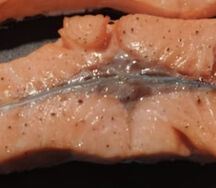 Стейк из форели