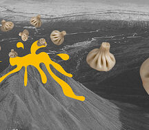 Хинкальное безумие 36