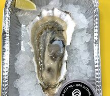 Устрица Россия крупная №0