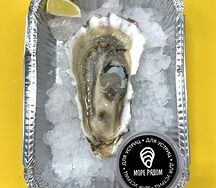 Устрица Россия крупная №1