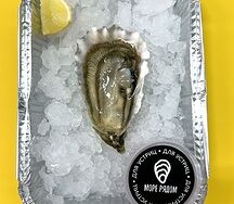 Устрица Россия средняя №2