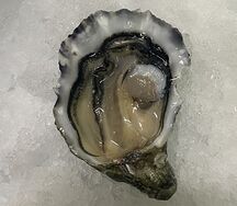 Устрица Цудо