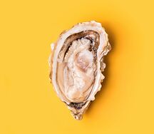 Устрица намибия