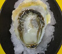 Устрица Люмьер